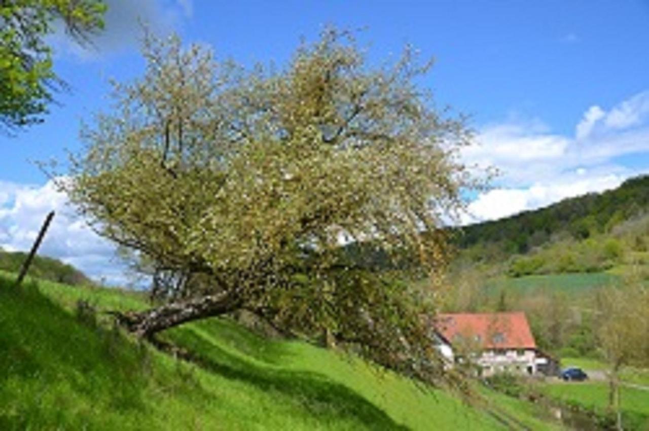 Gasthaus Holdermuehle Креглінген Екстер'єр фото